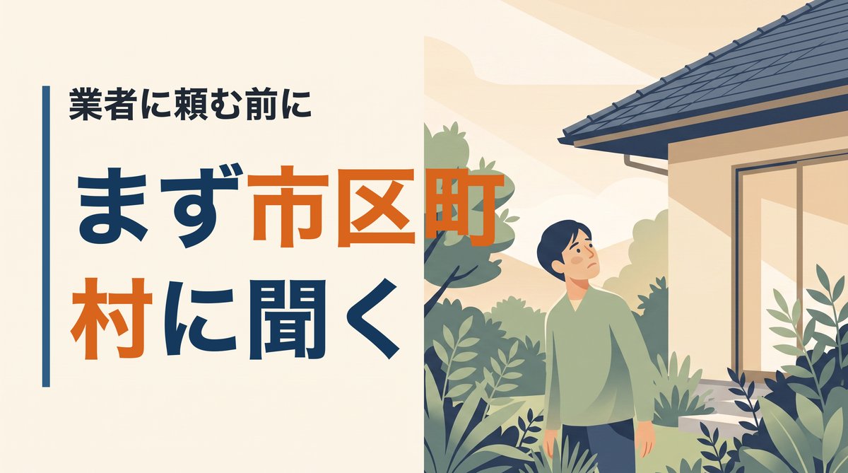 アシナガバチの巣は自分で駆除していいのか。脚立に登る前に市区町村へ一本、それで話が変わる