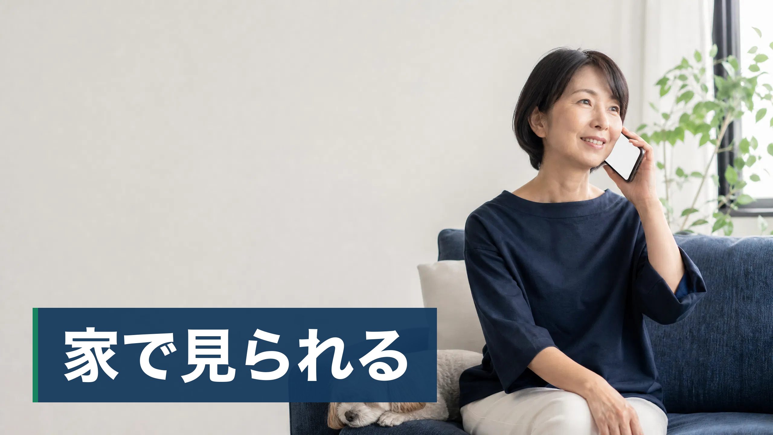 猫の遺伝子検査を検討しているが、検査で遺伝性疾患が見つかったらと思うと申し込みをためらっている飼い主が作業員が寝室を点検している様子